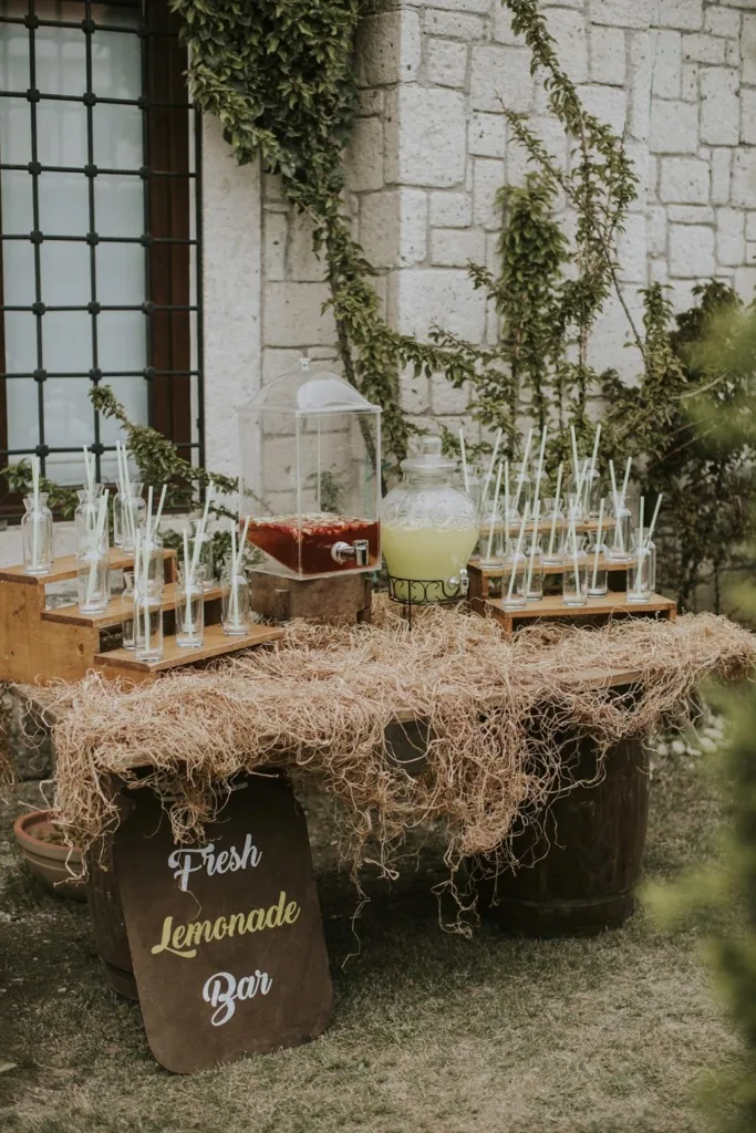 limonata-bar-kokteyl-organizasyonu-izmir-catering-bodrum-catering-alacati-catering-sunumlari-dekor-susleme-ahsap-konsept